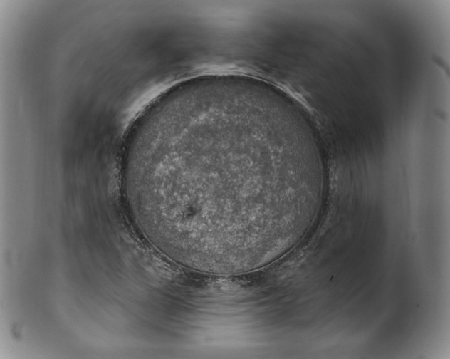 X0000100501311200806271250