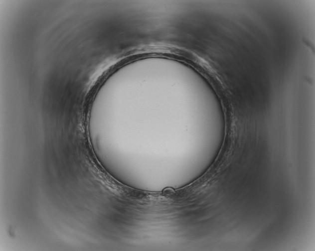 X0000100501312200806271250