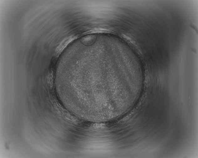 X0000100501313200806271250