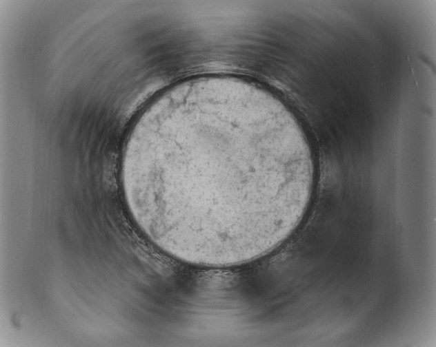 X0000100501314200806271250