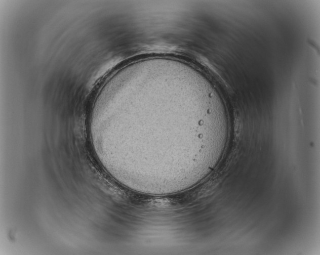 X0000100501315200806271250