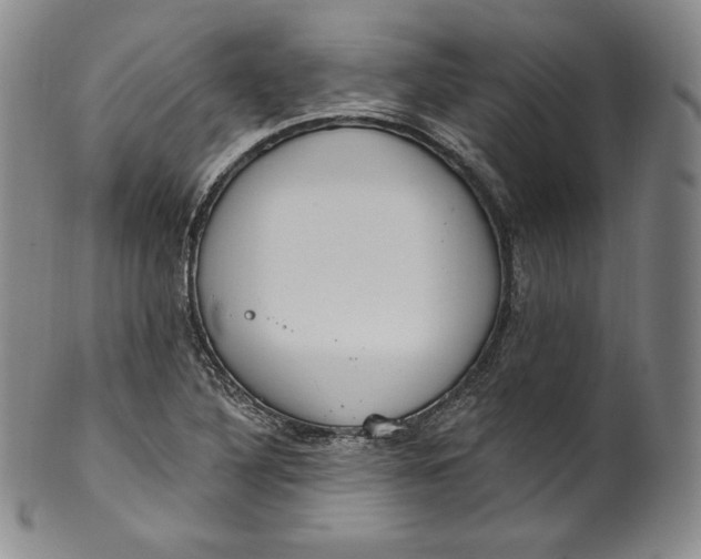 X0000100501316200806271250