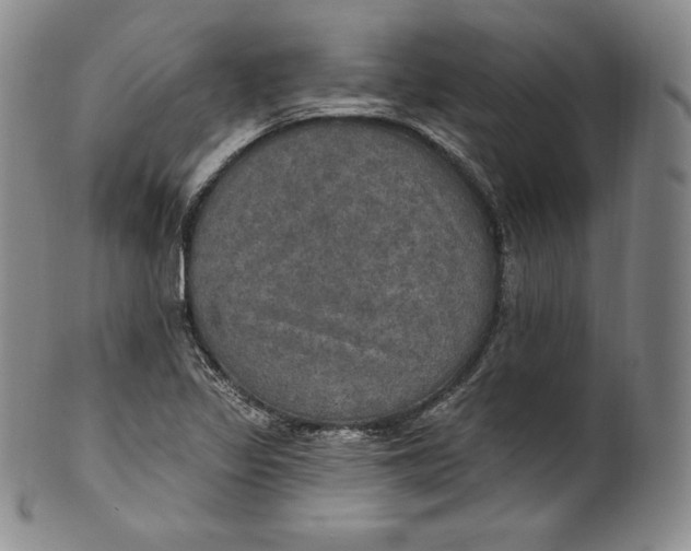 X0000100501317200806271250