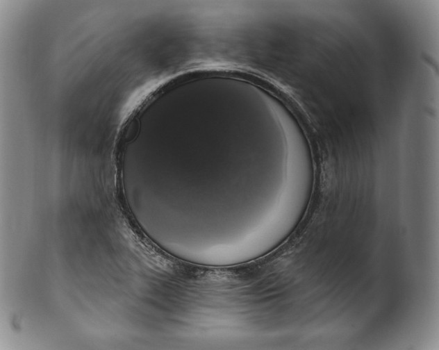 X0000100501319200806271250