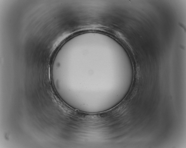 X0000100501320200806271250