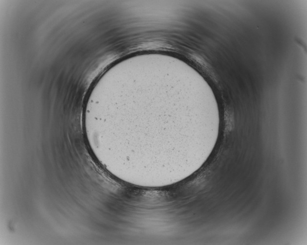 X0000100501322200806271250