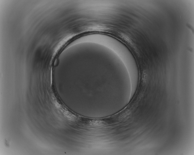 X0000100501323200806271250