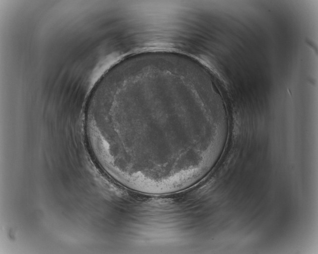 X0000100501325200806271250