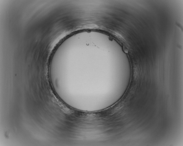 X0000100501326200806271250