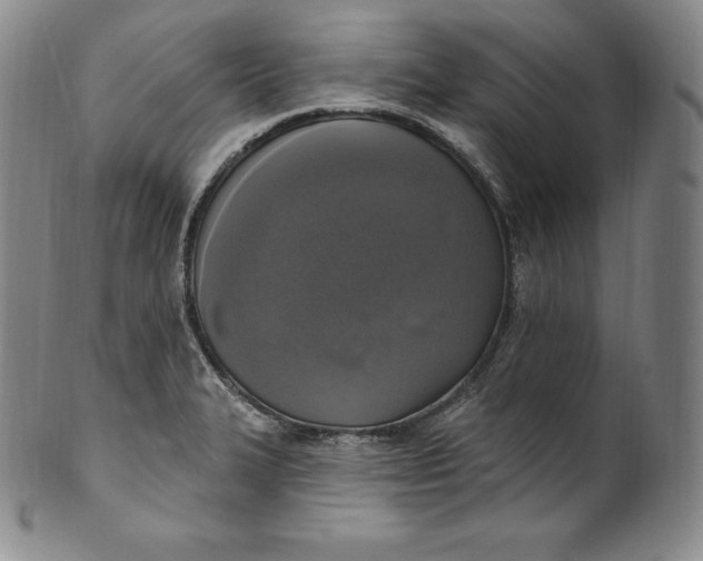 X0000100501327200806271250