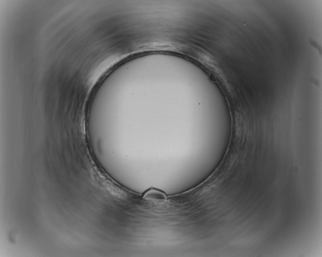 X0000100501328200806271250