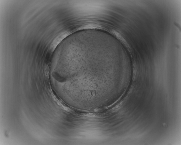 X0000100501329200806271250