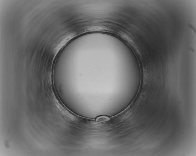 X0000100501330200806271250