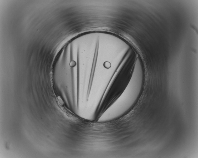 X0000100501332200806271250