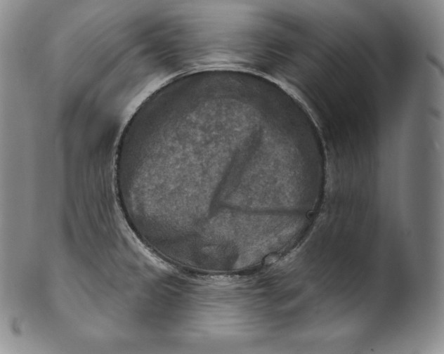 X0000100501333200806271250