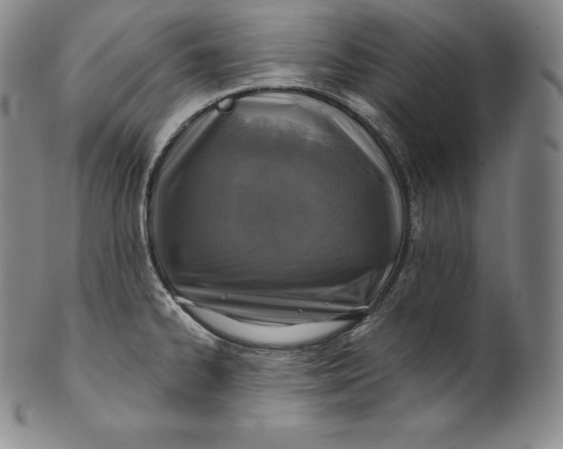 X0000100501334200806271250