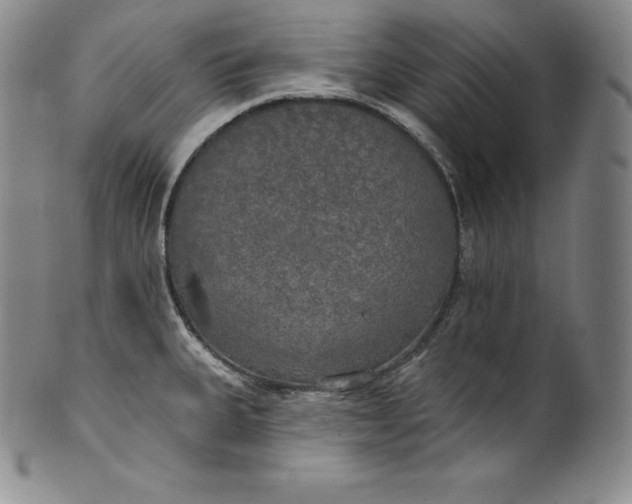 X0000100501335200806271250