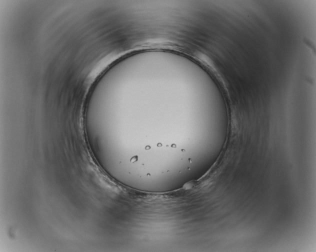 X0000100501336200806271250