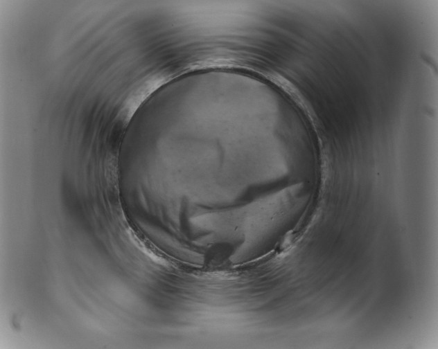 X0000100501337200806271250