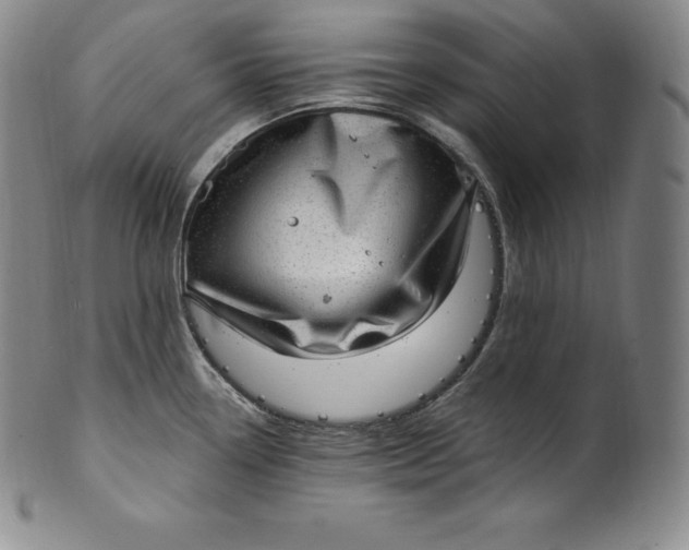 X0000100501338200806271250