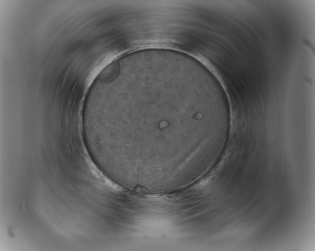 X0000100501341200806271250