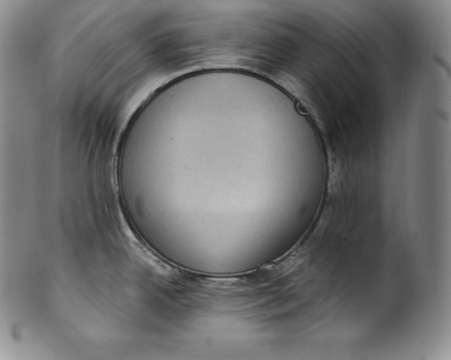 X0000100501342200806271250