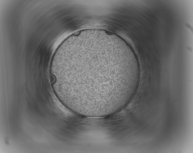 X0000100501344200806271251