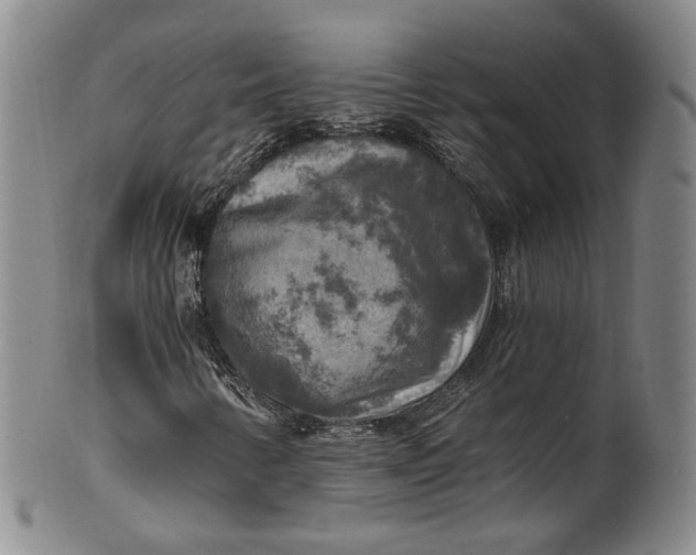 X0000100501346200806271250