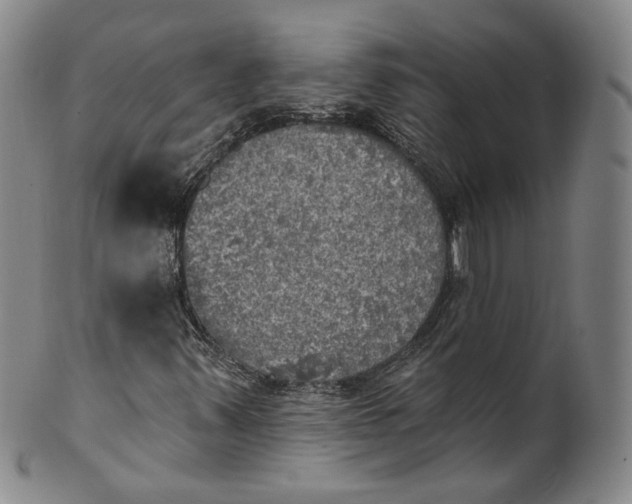 X0000100501347200806271250