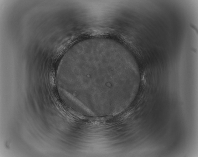 X0000100501348200806271250