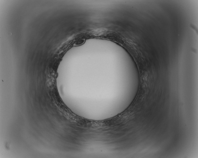 X0000100501349200806271250