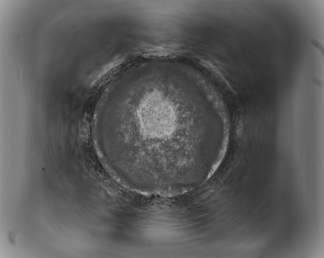 X0000100501350200806271250