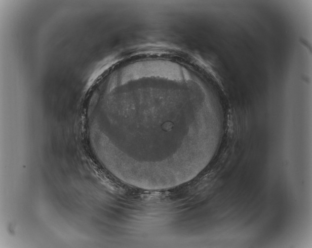 X0000100501352200806271250