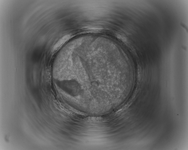 X0000100501354200806271250