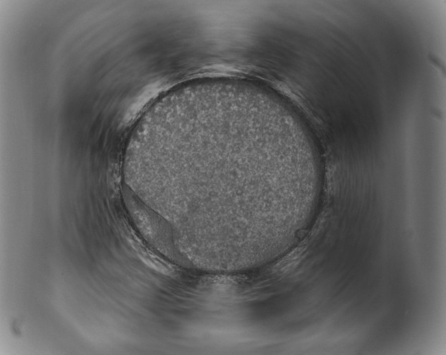 X0000100501355200806271250