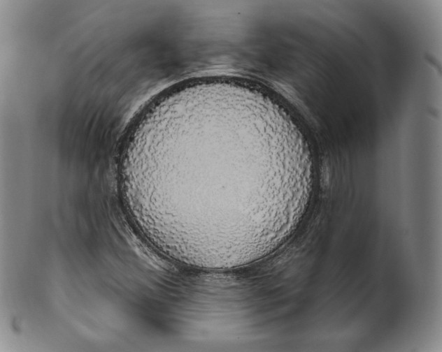 X0000100501356200806271250