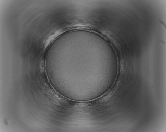 X0000100501357200806271250