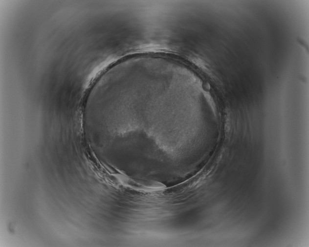 X0000100501358200806271250