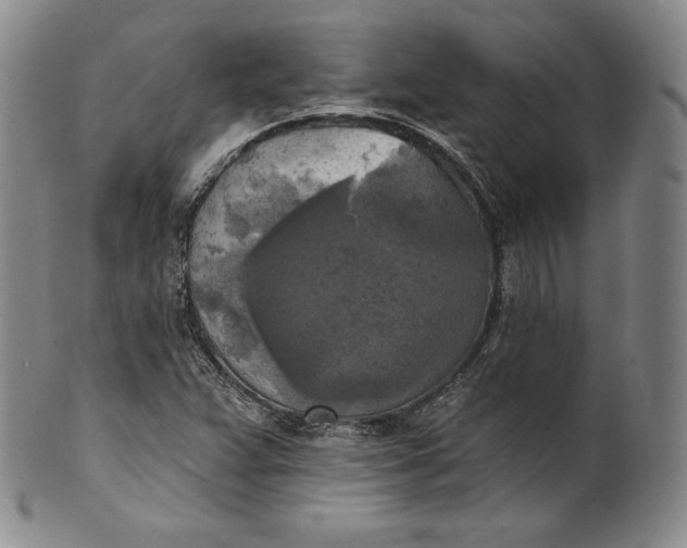 X0000100501359200806271250