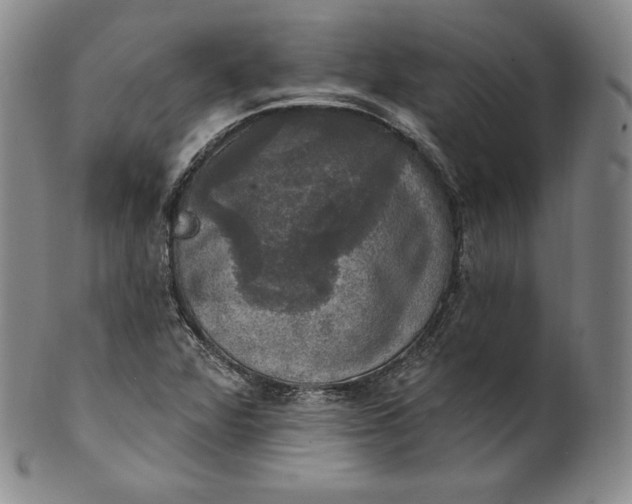 X0000100501360200806271250