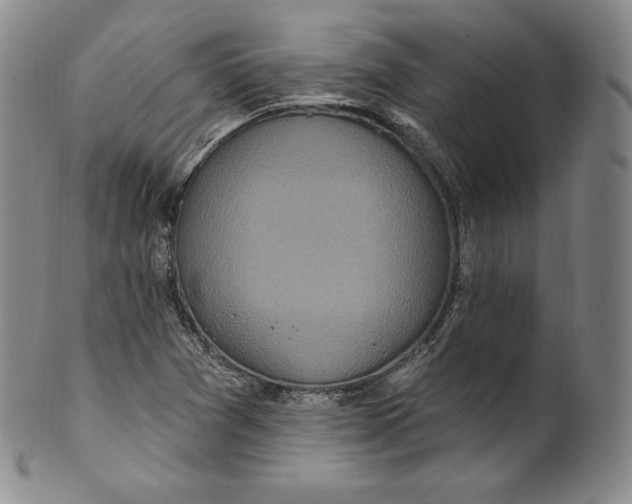 X0000100501361200806271250