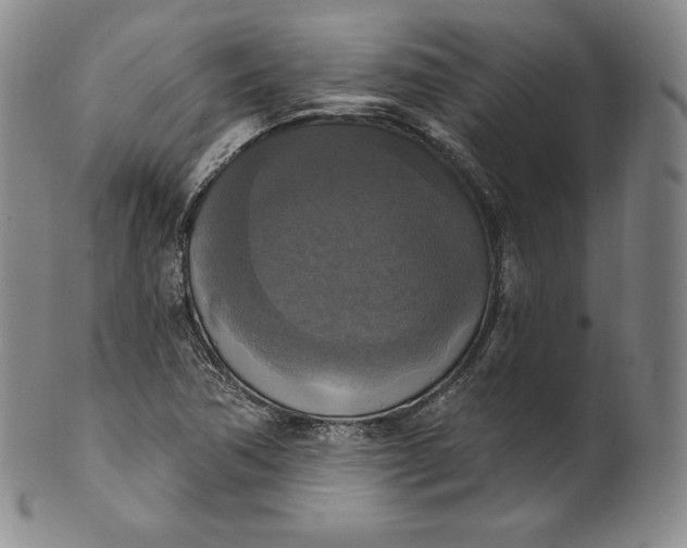 X0000100501362200806271250