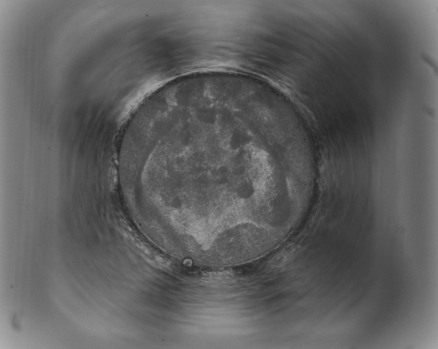 X0000100501363200806271250