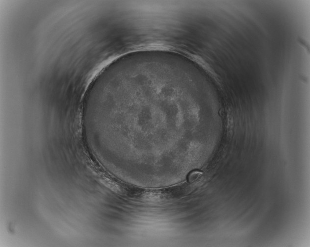 X0000100501364200806271250