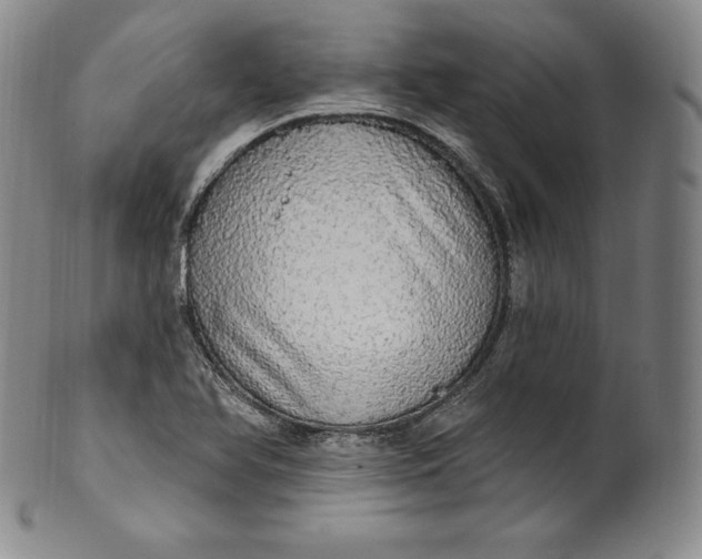 X0000100501366200806271250