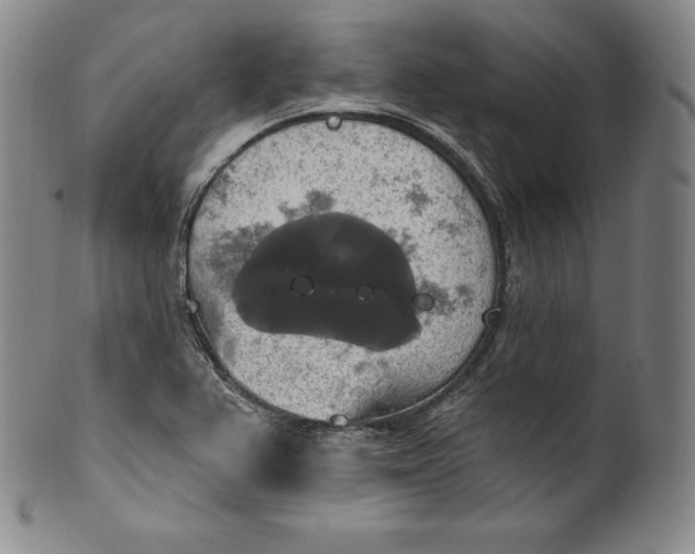 X0000100501367200806271250