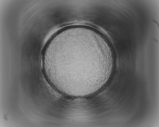 X0000100501368200806271250