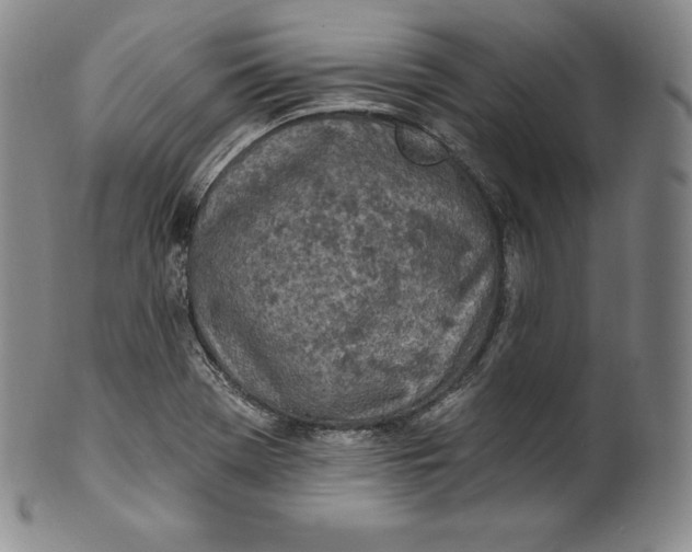 X0000100501369200806271250