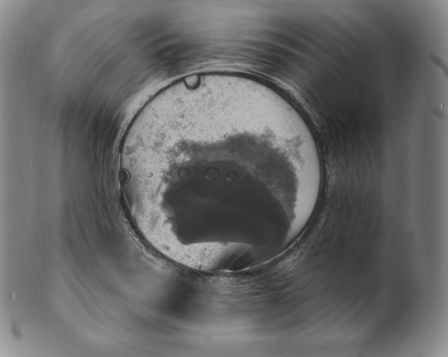 X0000100501371200806271249