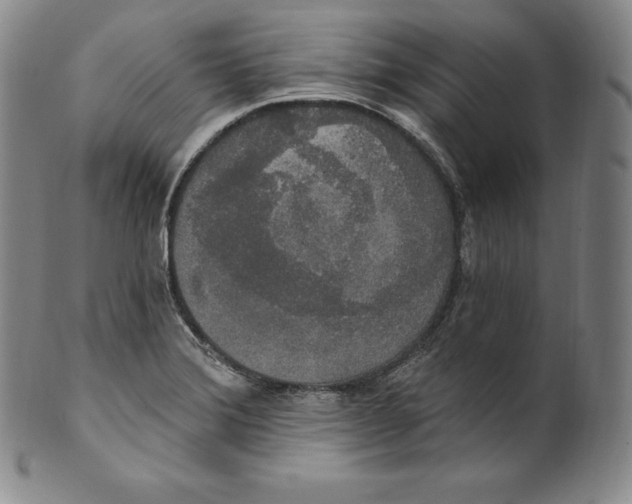 X0000100501372200806271249